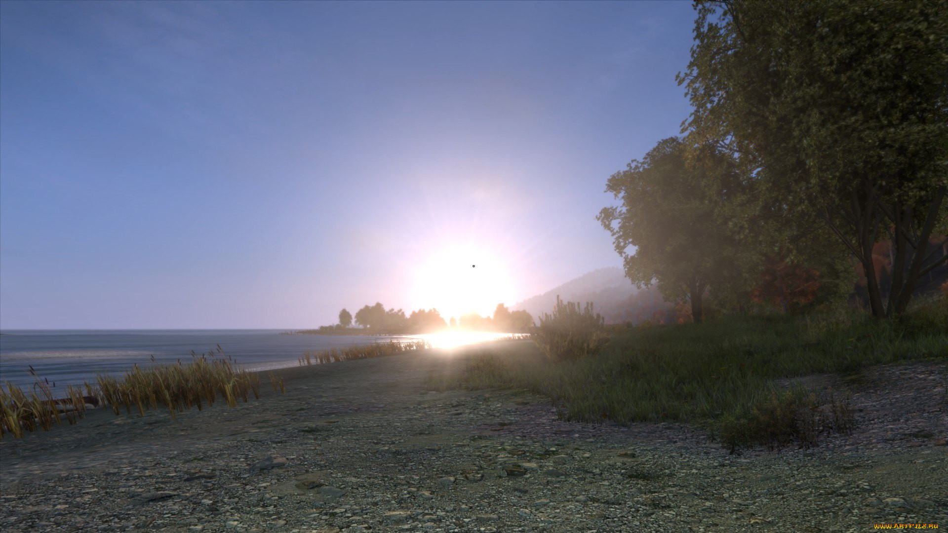 dayz standalone,  , - dayz standalone, , , , dayz, standalone